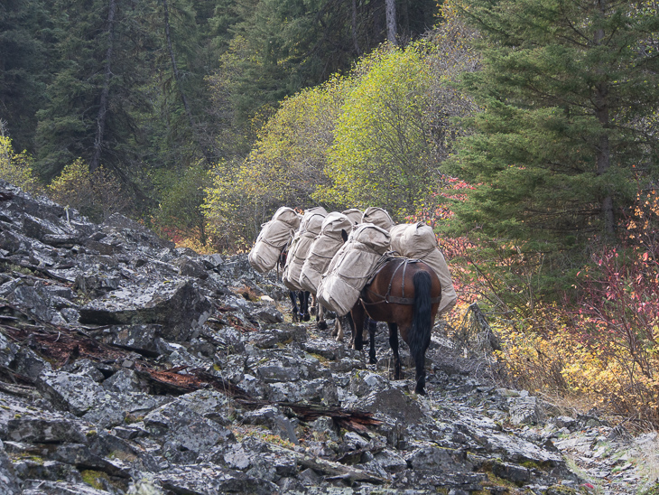 Talus Slope, Ranch Creek Pack Train photo