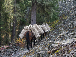 Talus Slope, Ranch Creek Pack Train photo