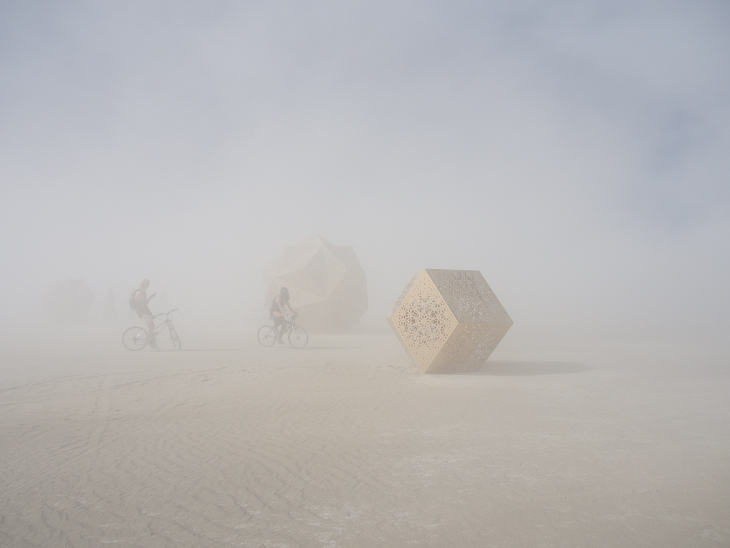 Deep Thought, Burning Man photo