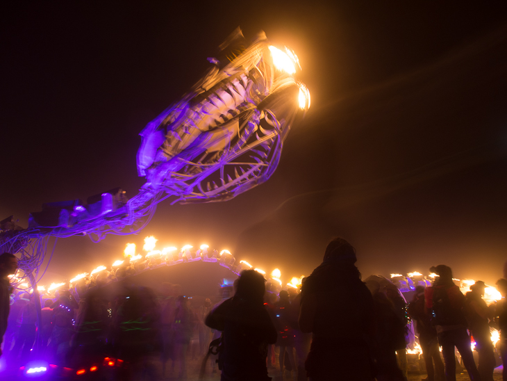 The Serpent Mother, Burning Man photo