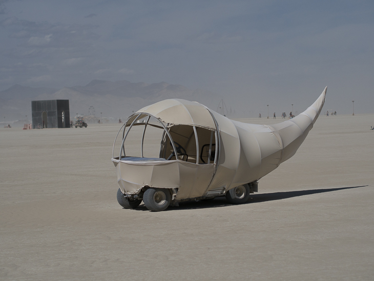 Art Car, Burning Man photo