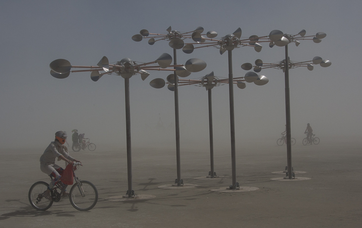 Kinetic Forest, Burning Man photo