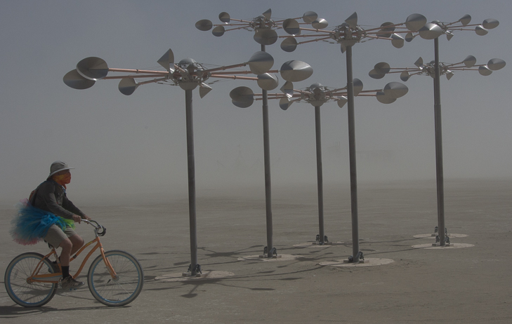 Kinetic Forest, Burning Man photo