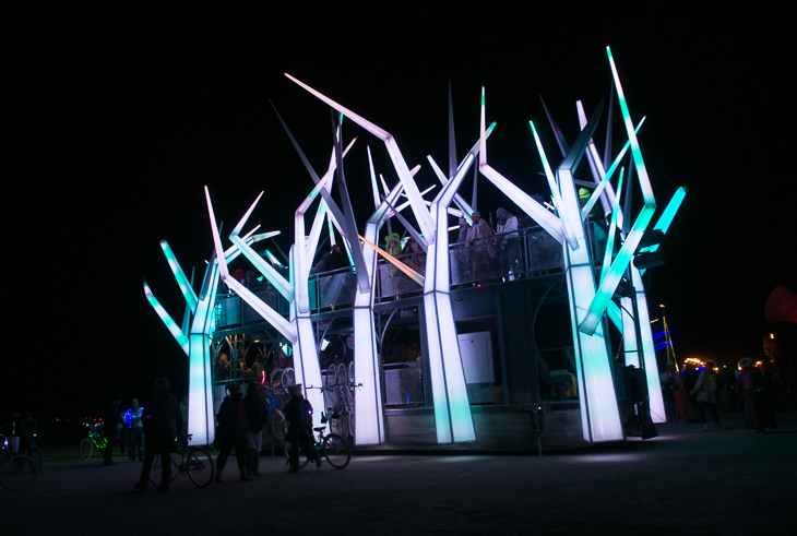 Forest House, Burning Man photo