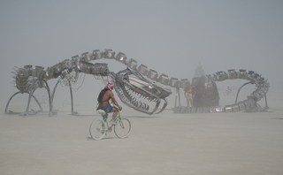 The Serpent Mother, Burning Man photo