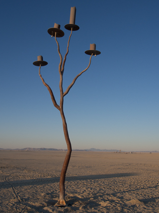 Lone Tree, Burning Man photo