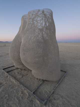 Pelvis, Burning Man photo