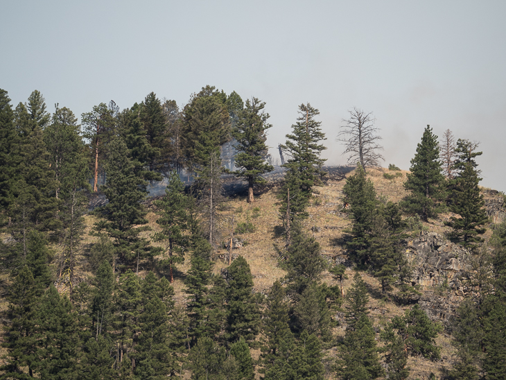 Goat Creek Fire Begins, Goat Creek Fire photo