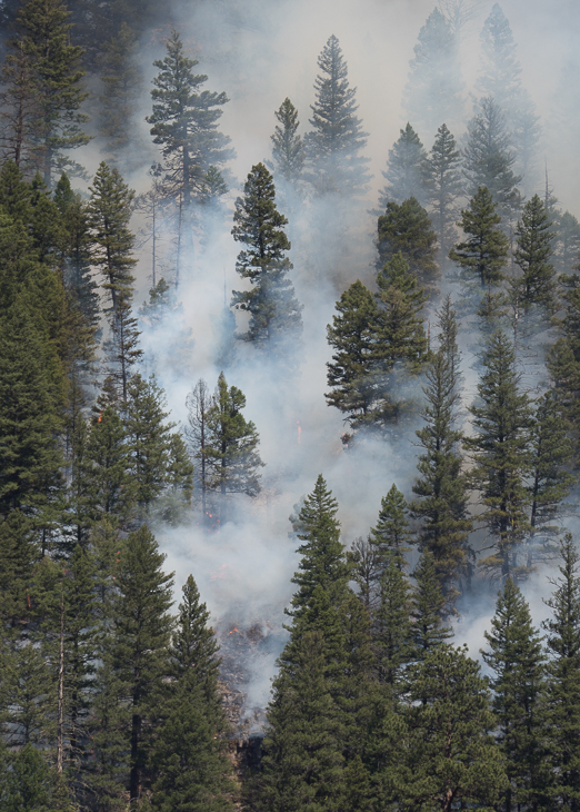 Fire on the slopes of Goat Gulch, Goat Creek Fire photo