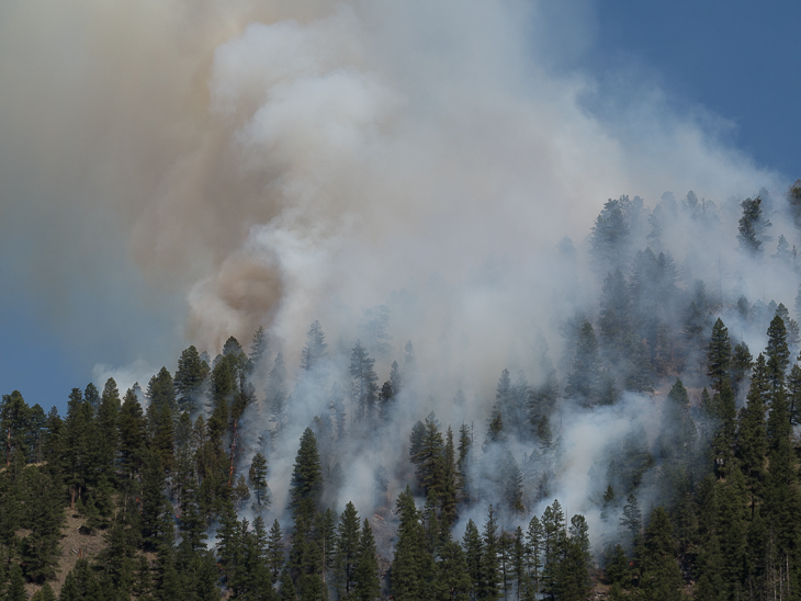 Ridge Over Goat Creek, Goat Creek Fire photo