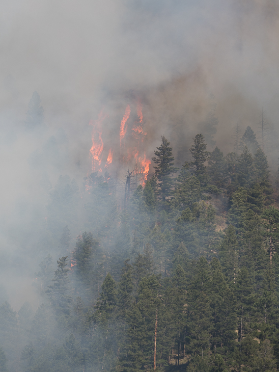 Crown Fires in Goat Gulch, Goat Creek Fire photo