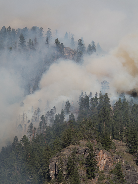 Ridge Over Goat Creek, Goat Creek Fire photo