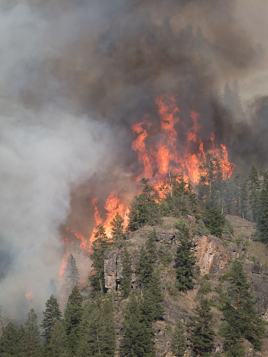 Goat Creek Canopy Fire, Goat Creek Fire photo