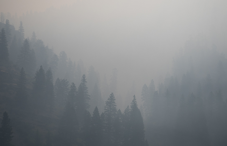 Morning Smoke over Goat Creek, Goat Creek Fire photo