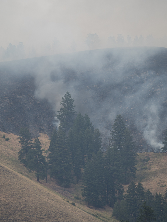 Ridge South of Babcock Creek, Goat Creek Fire photo