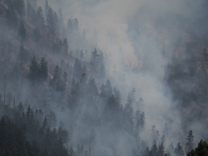 Fire in West Gulch, Goat Creek Fire photo