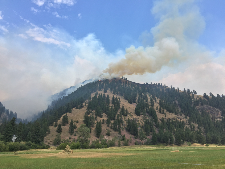 Ridge South of Babcock Creek, Goat Creek Fire photo