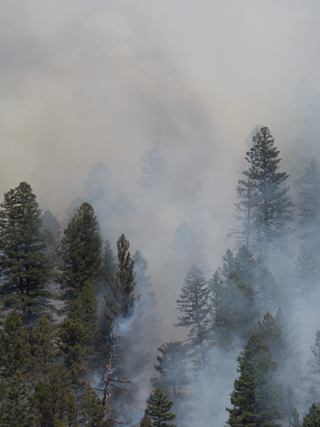 Goat Creek Canyon, Goat Creek Fire photo