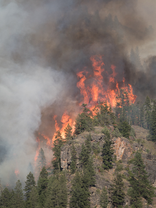 Goat Creek Canopy Fire, Goat Creek Fire photo