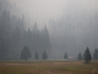 Morning Smoke over Goat Creek, Goat Creek Fire photo