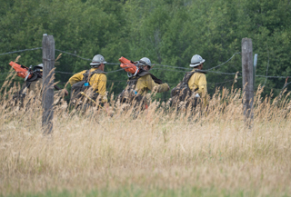 Hotshots head up Babcock Mountain, Goat Creek Fire photo