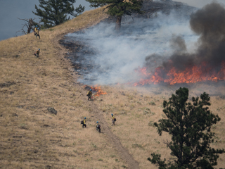 Hotshots on Babcock Mountain, Goat Creek Fire photo