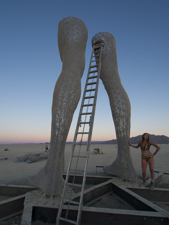 Woman at R-Evolution - 2015, Burning Man photo