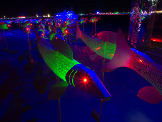 Playaquarium - 2015, Burning Man photo