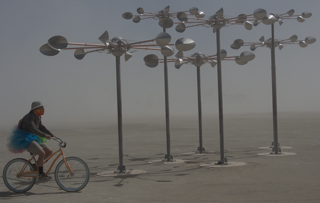 Kinetic Forest - 2015, Burning Man photo