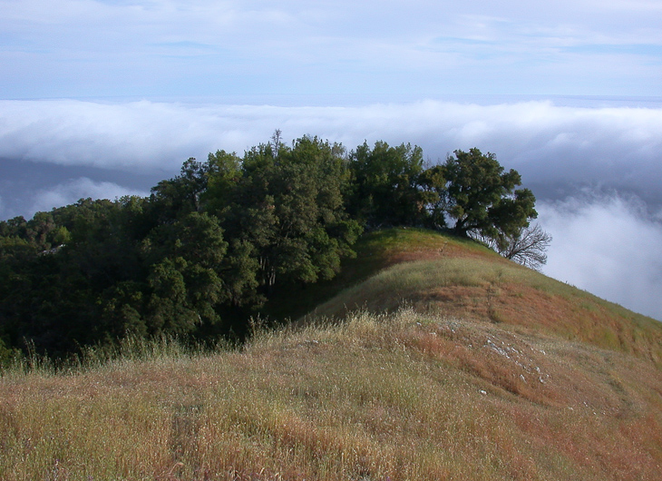 Ridgeline, California Coast photo